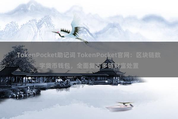 TokenPocket助记词 TokenPocket官网：区块链数字货币钱包，全面复古多链财富处置